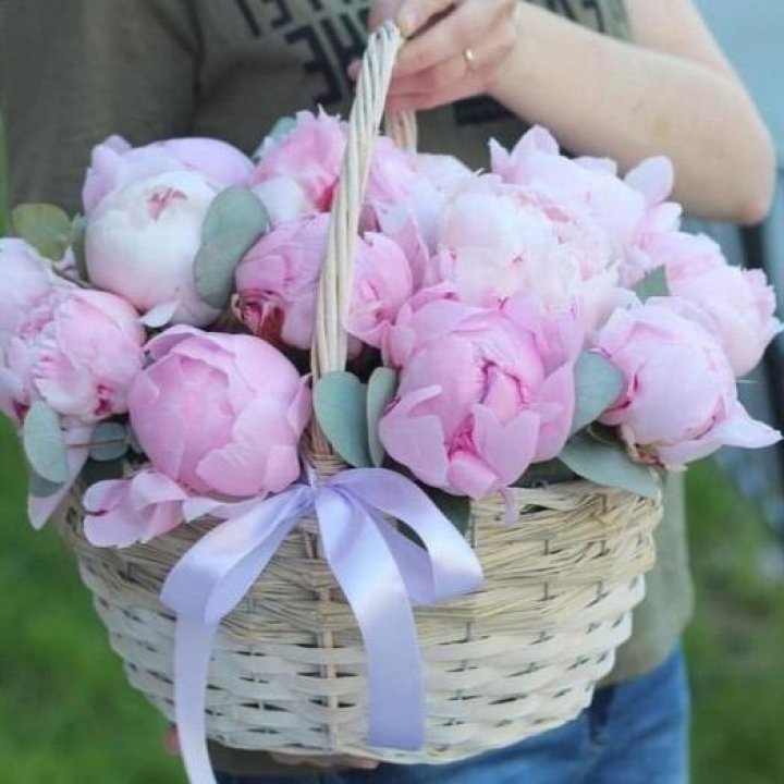 15 пионов в корзине в Саранске