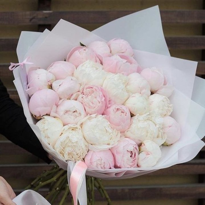 29 пионов в Саранске