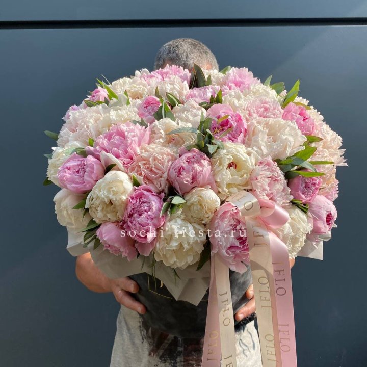 51 пионов в боксе в Саранске