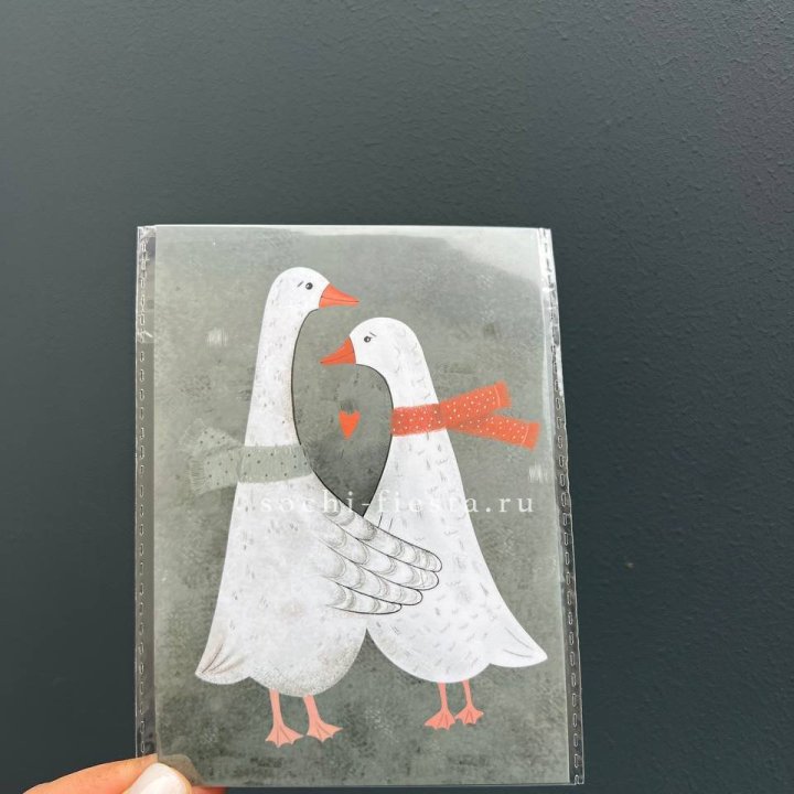 Открытка к букету "Гуси” в Саранске