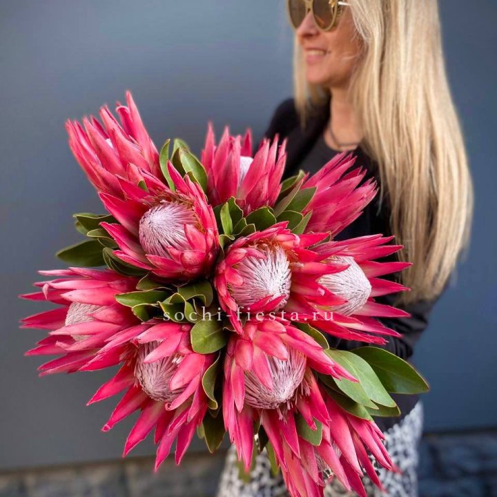 Протея штучно в Саранске
