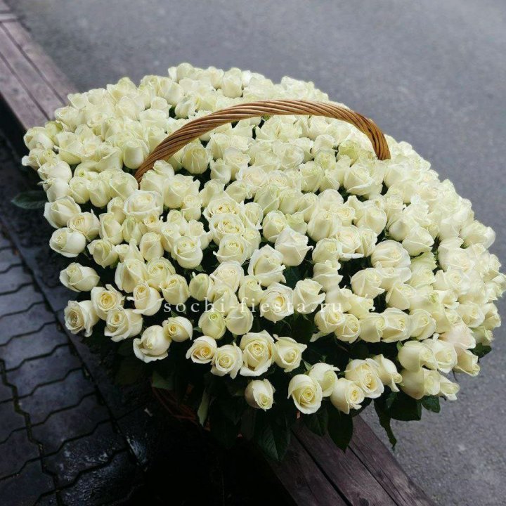 303 розы в корзине в Саранске