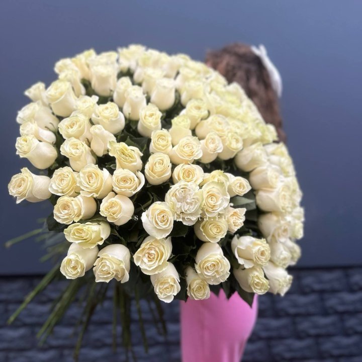 101 белая высокая импортная роза под ленту в Саранске