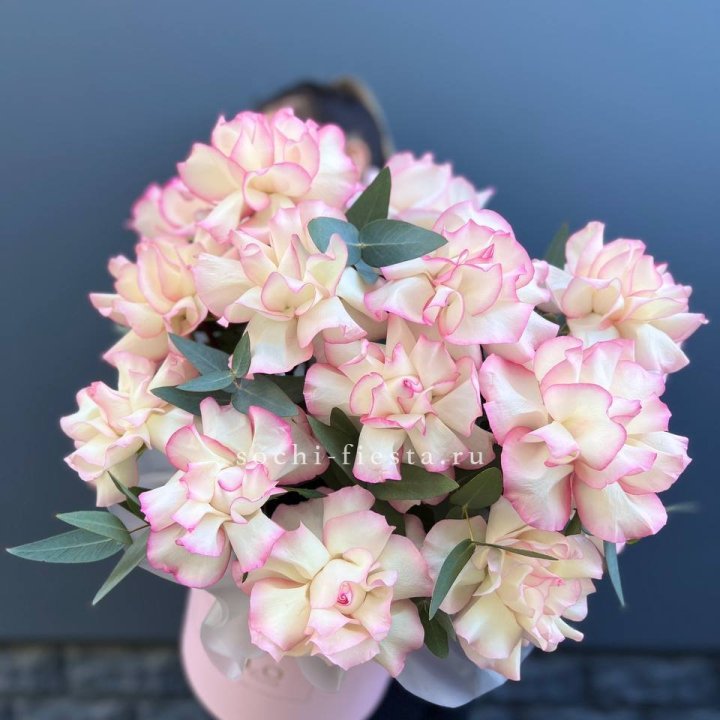 15 Французских роз Джумилия в боксе в Саранске