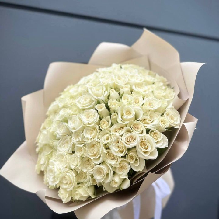 101 белая роза Атена в Саранске