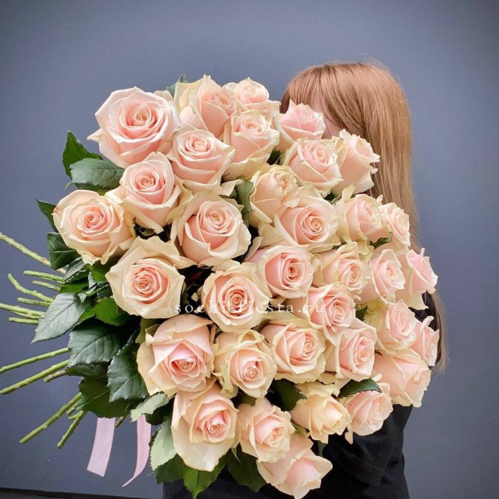 35 кремовых высоких роз в Саранске