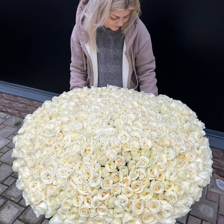 501 белая роза в корзине в Саранске