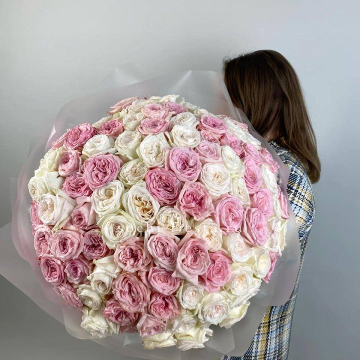 101 роз Охара в Саранске