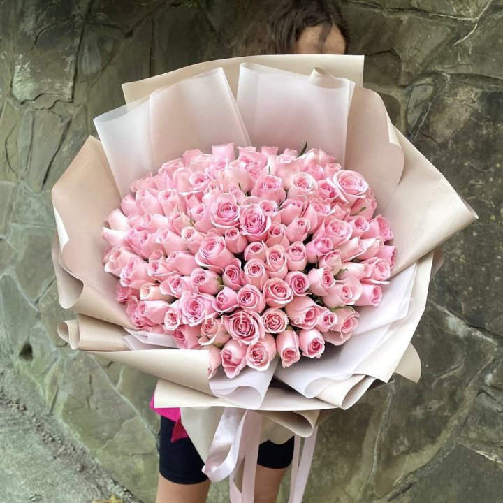 101 нежно-розовая роза Каролина  в Саранске