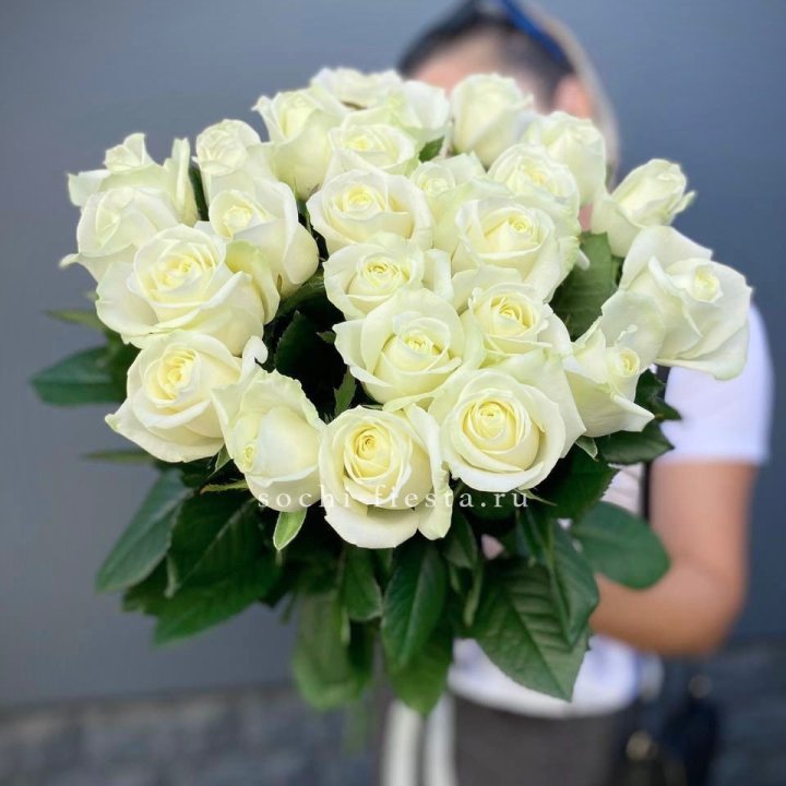 Голландские розы белые 25 в Саранске