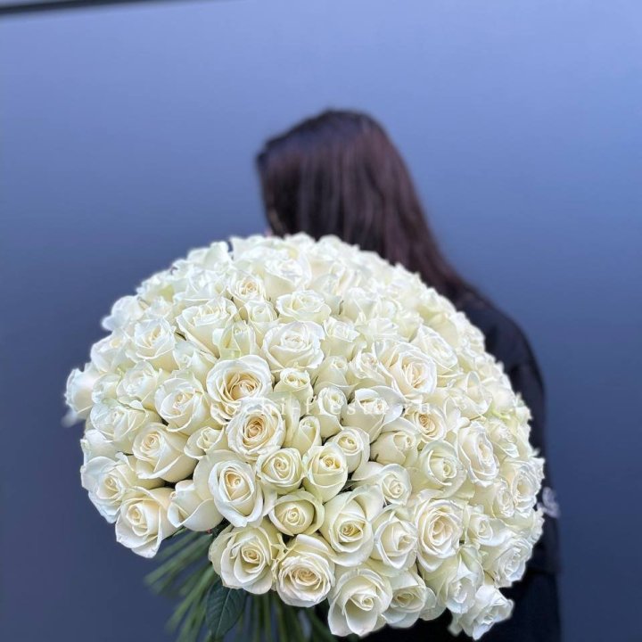 Охапка из 101 белой розы  в Саранске