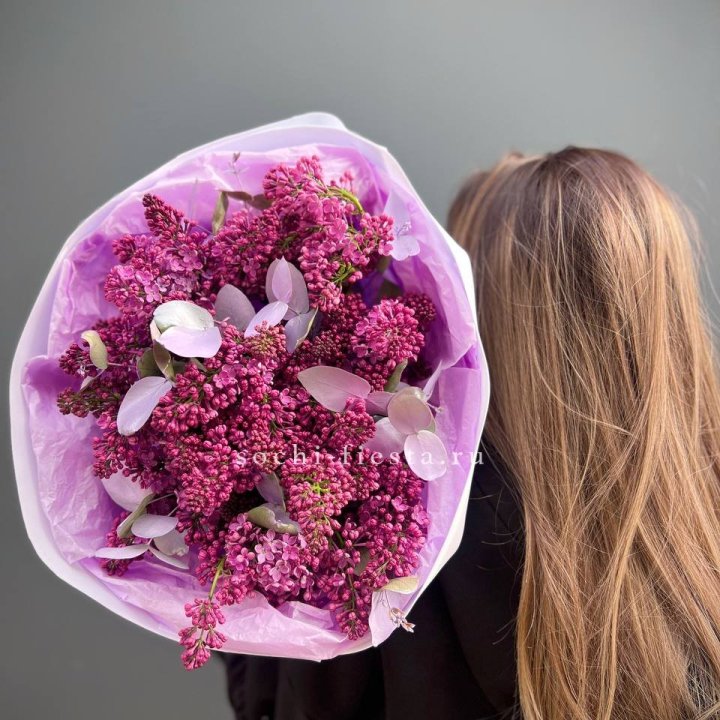 Букет сирени  в Саранске