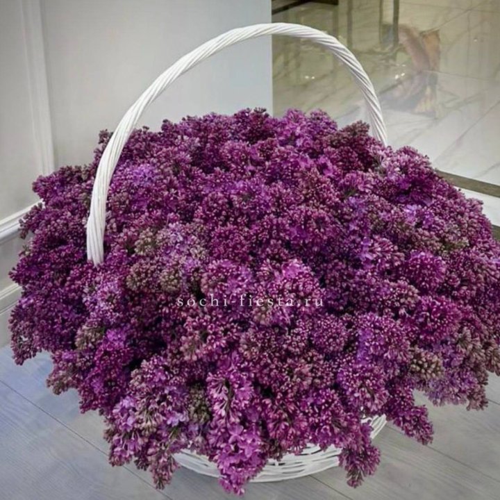 Корзина сирени в Саранске