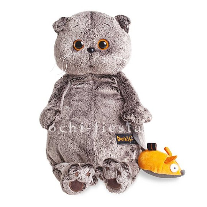 Кот Басик с мышкой в Саранске