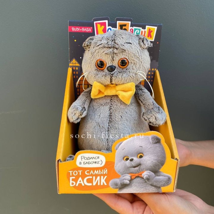 Кот Басик с бабочкой в Саранске