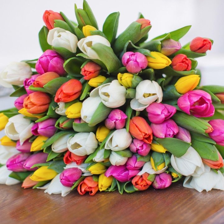 79 тюльпанов "Рандом" в Саранске