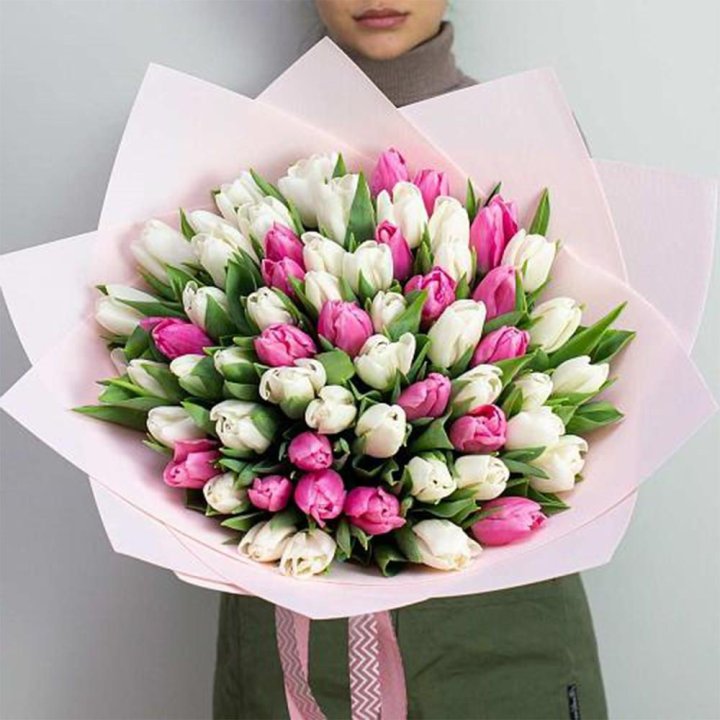 61 бело-розовый тюльпан в Саранске