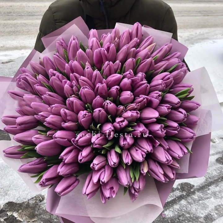 101 сиреневый тюльпан в Саранске