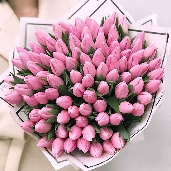 101 розовый тюльпан в белом в Саранске