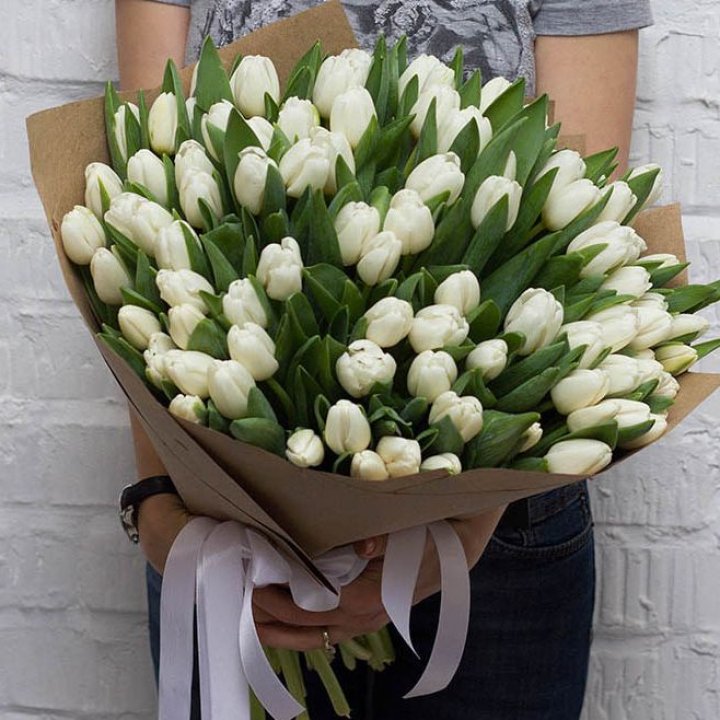 101 тюльпан сноу в Саранске